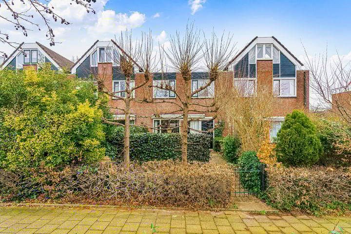 Delta 166 dans Huizen photo