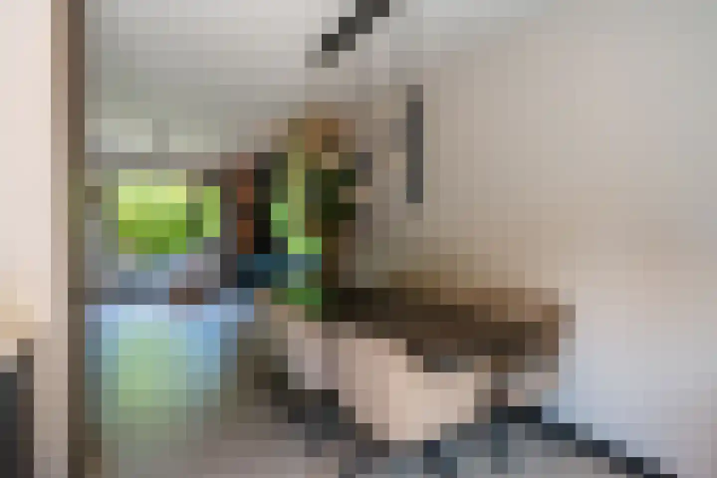 Delta 187 Huizen thumbnail 14