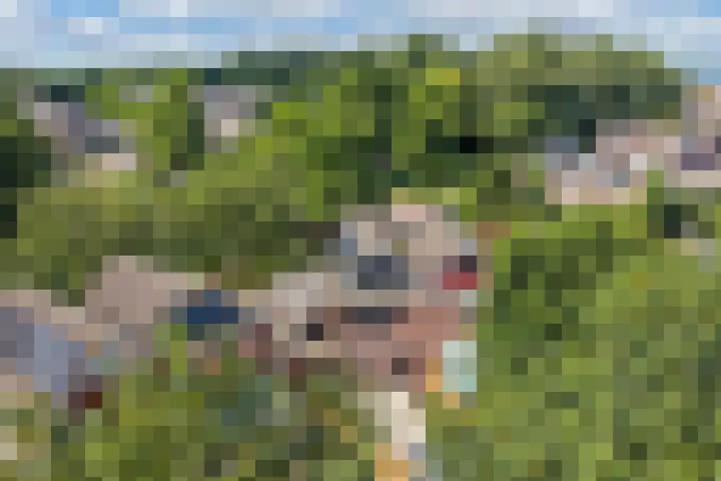 Delta 187 Huizen thumbnail 44