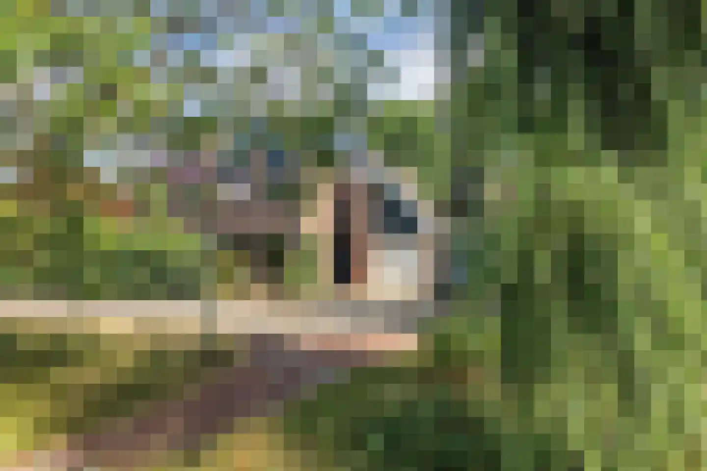 Delta 187 Huizen thumbnail 5