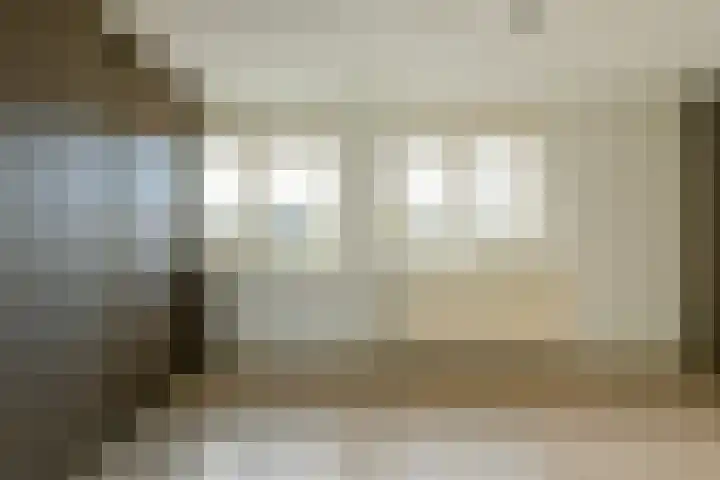 Delta 199 Huizen thumbnail 13