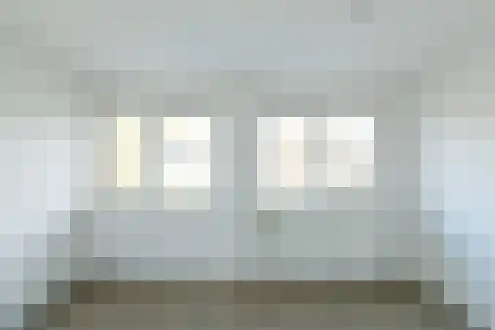 Delta 199 Huizen thumbnail 16