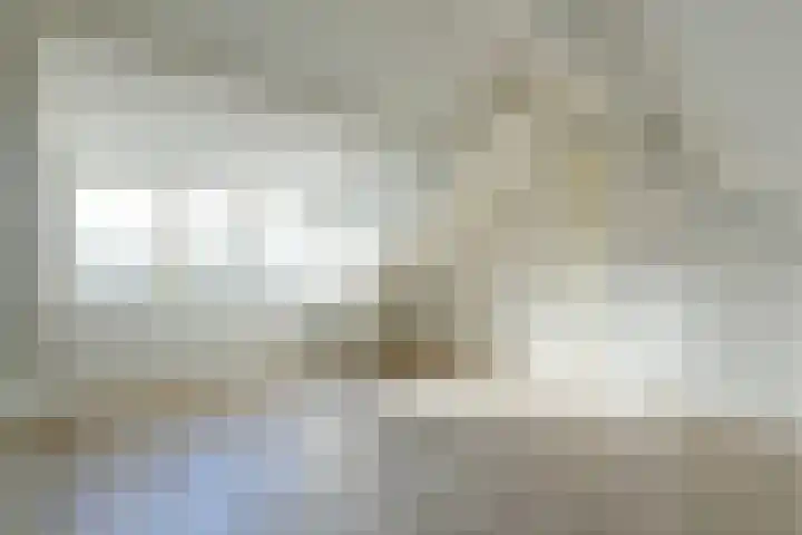 Delta 199 Huizen thumbnail 22