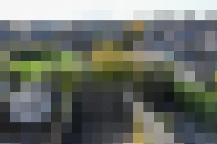 Delta 199 Huizen thumbnail 25