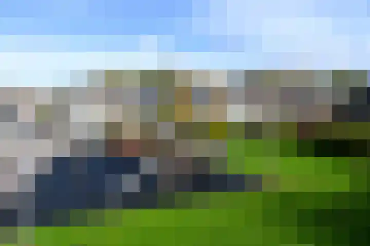 Delta 199 Huizen thumbnail 30