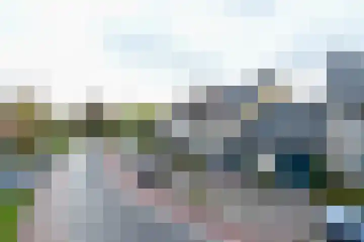 Delta 199 Huizen thumbnail 31