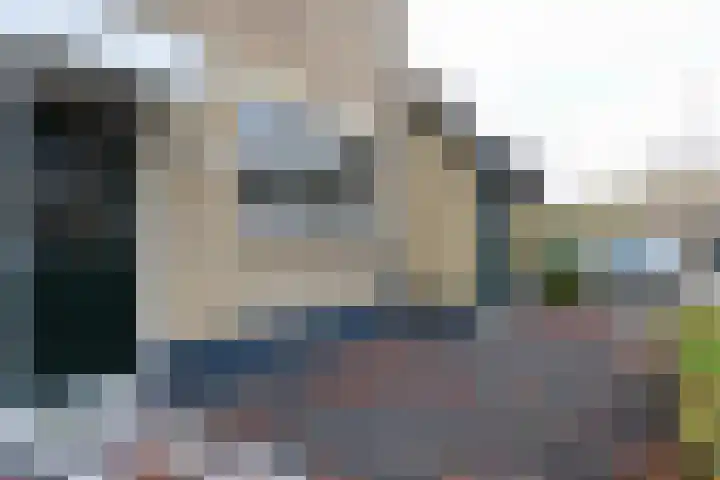 Delta 199 Huizen thumbnail 32
