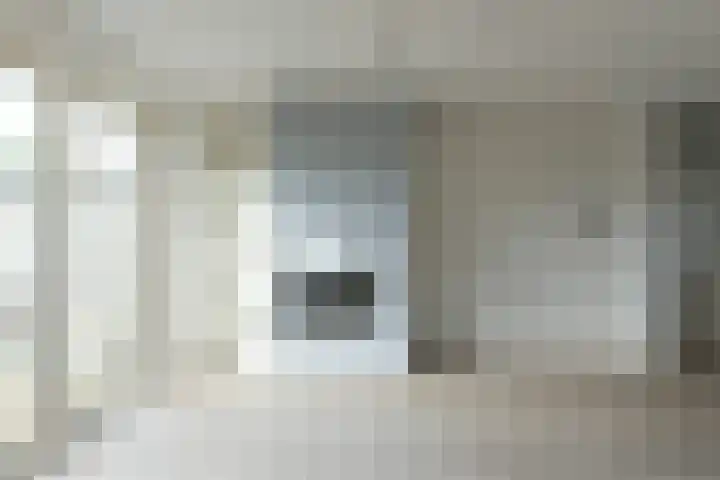 Delta 199 Huizen thumbnail 4