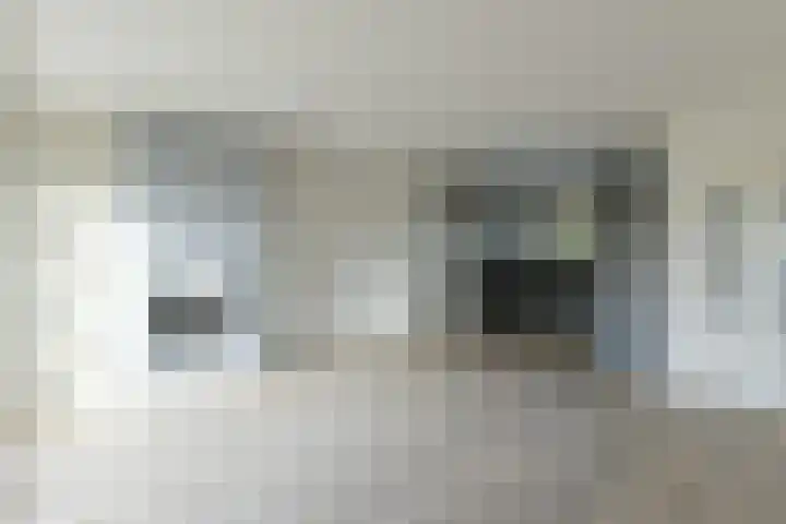 Delta 199 Huizen thumbnail 5