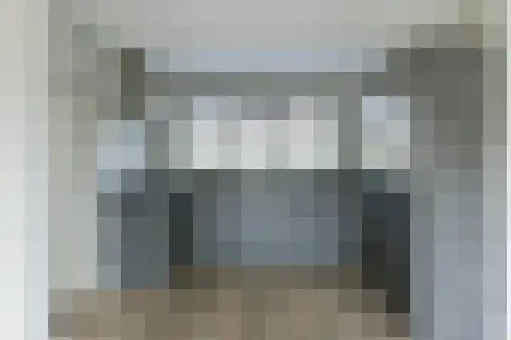 Delta 199 Huizen thumbnail 7