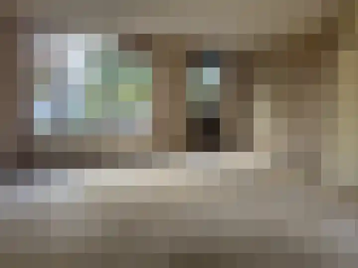 Delta 210 Huizen thumbnail 4