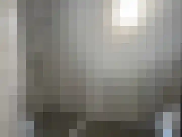 Delta 210 Huizen thumbnail 8