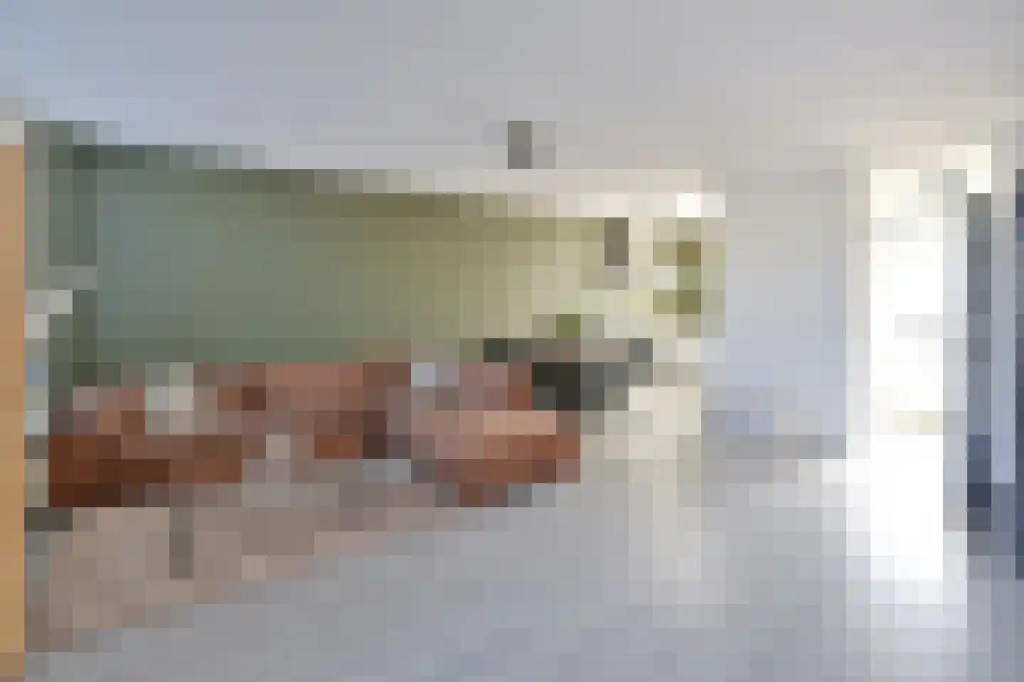 Delta 24 Huizen thumbnail 5