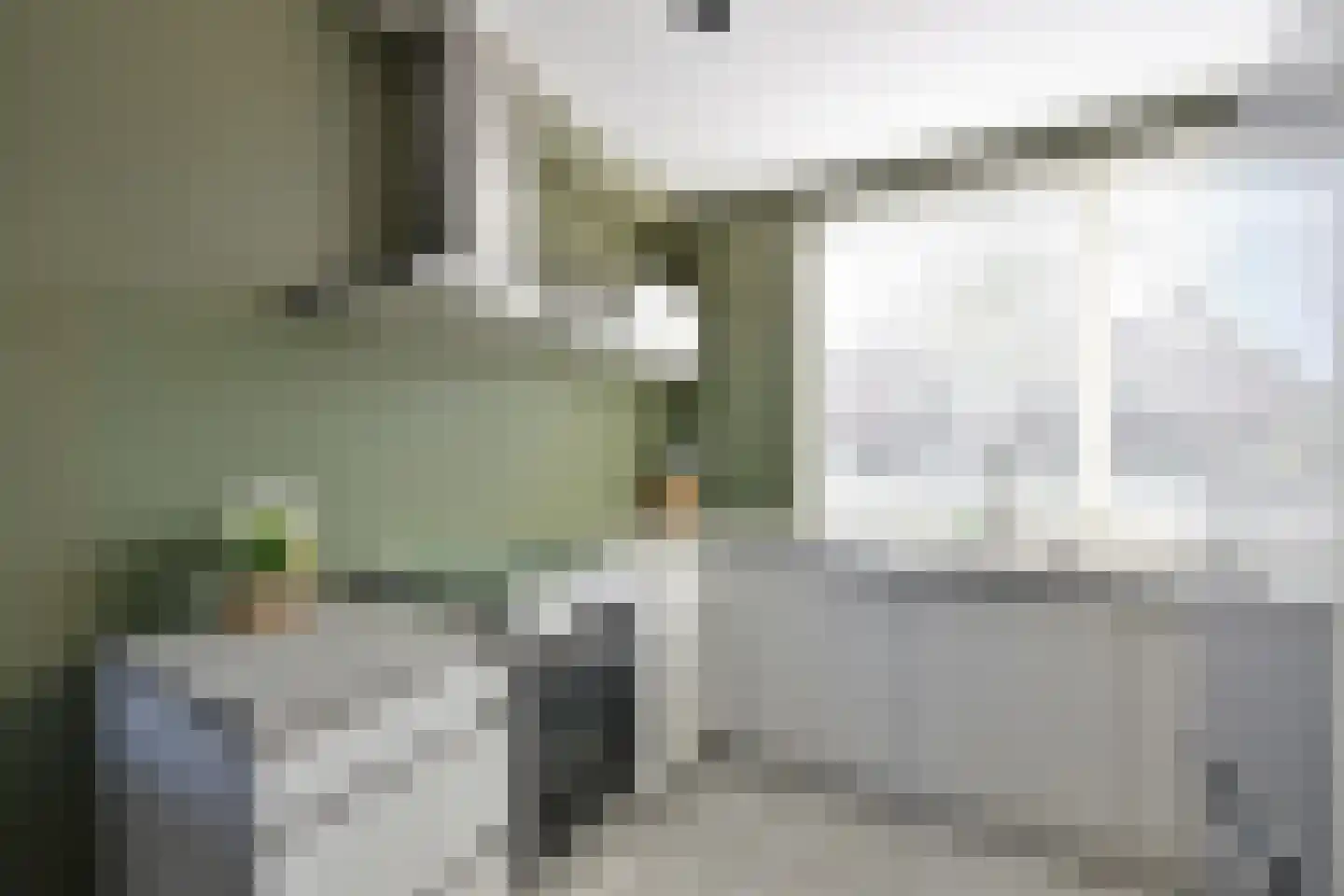 Delta 24 Huizen thumbnail 6