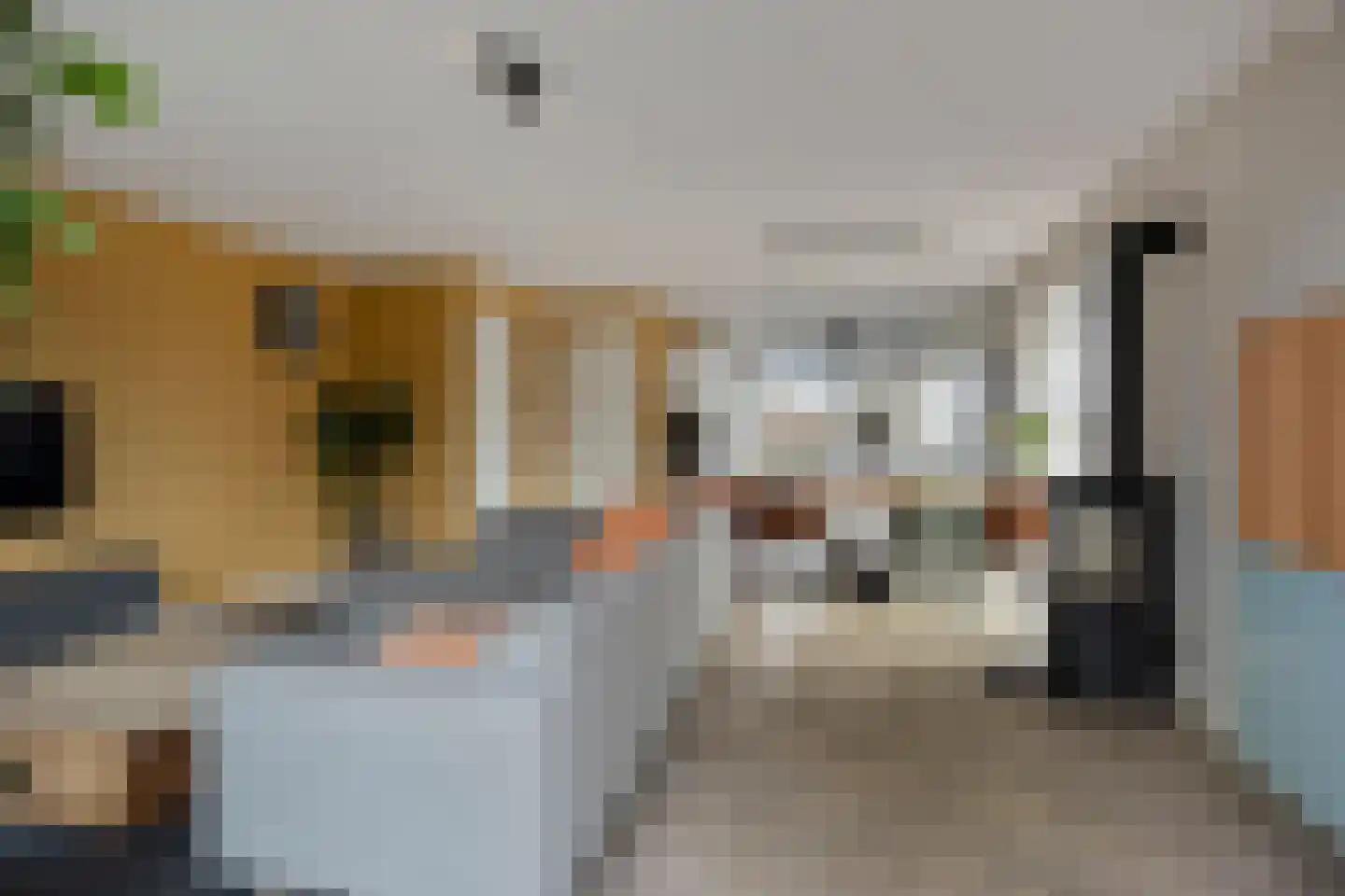 Delta 26 Kampen thumbnail 17