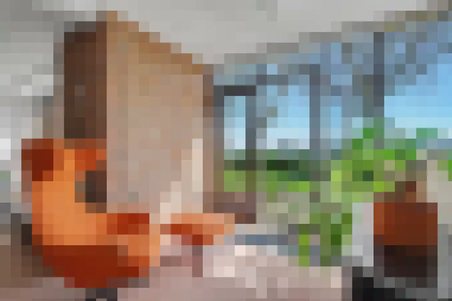 Delta 3 Zwijndrecht thumbnail 13