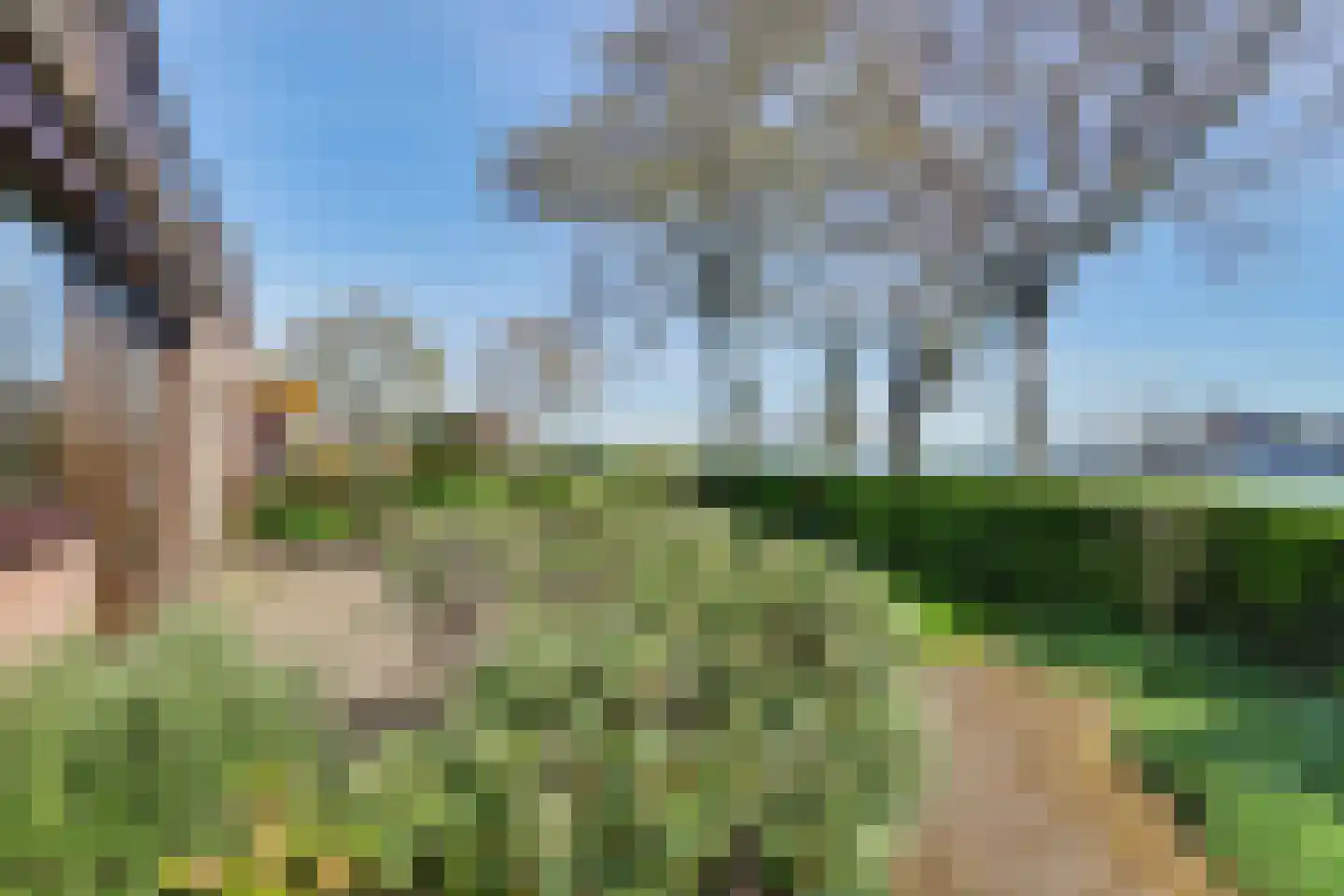 Delta 3 Zwijndrecht thumbnail 47