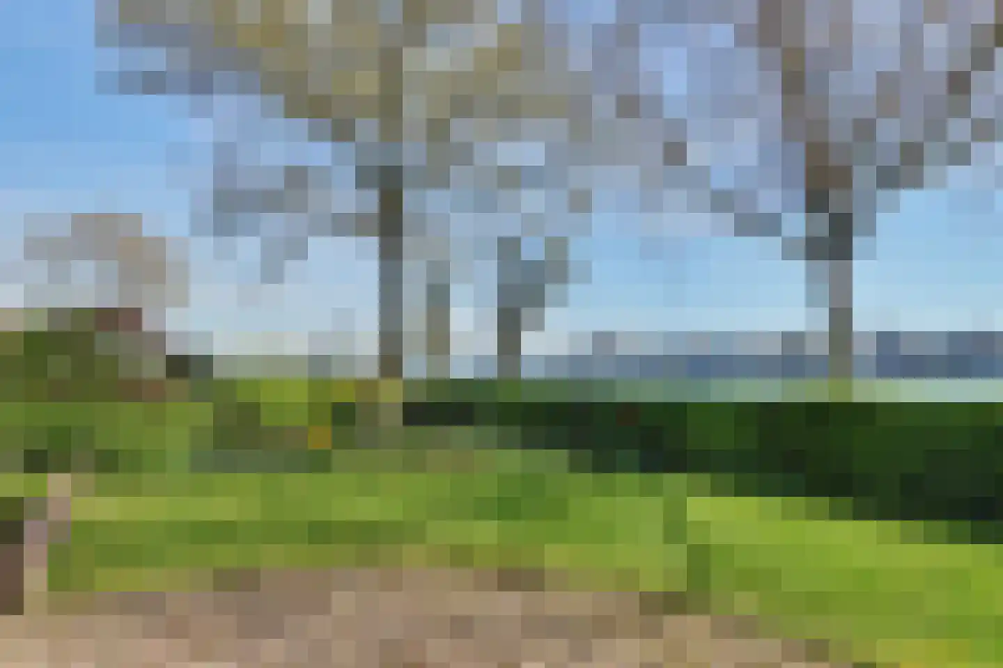 Delta 3 Zwijndrecht thumbnail 53
