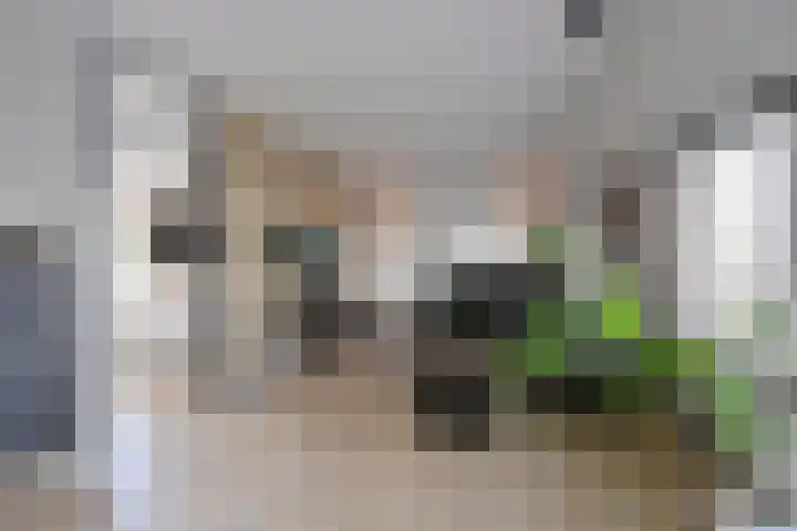 Delta 55 Huizen thumbnail 6