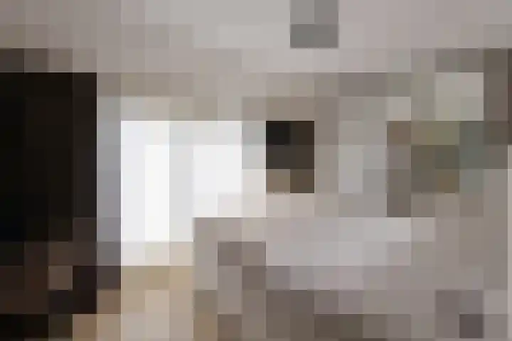 Delta 55 Huizen thumbnail 7