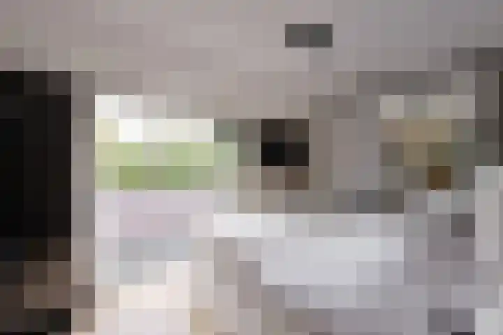 Delta 55 Huizen thumbnail 8