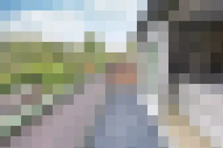 Delta 55 Huizen thumbnail 9