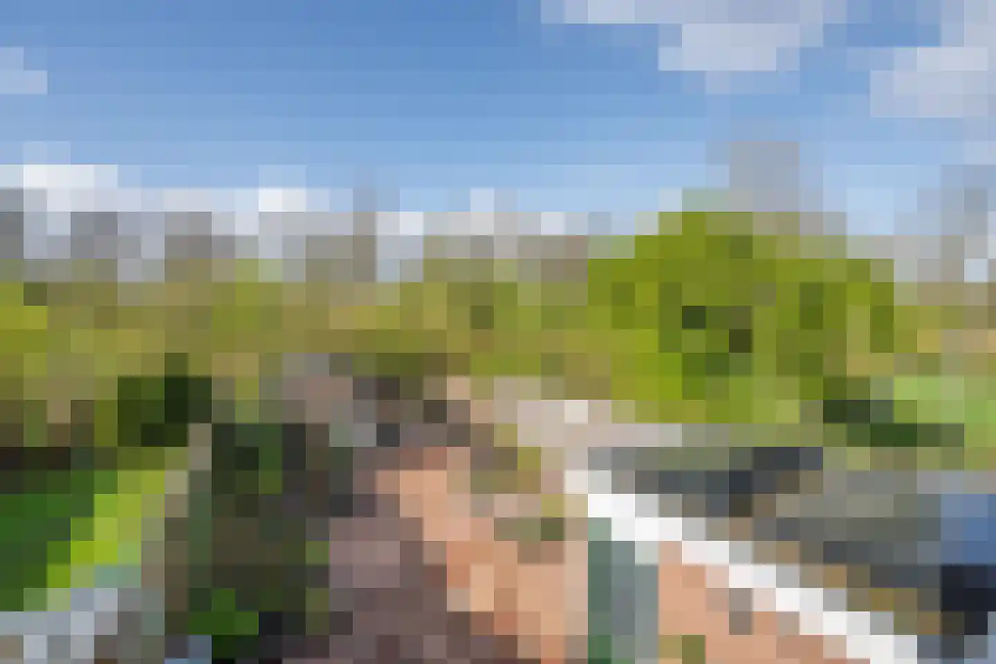 Delta 63 Huizen thumbnail 20