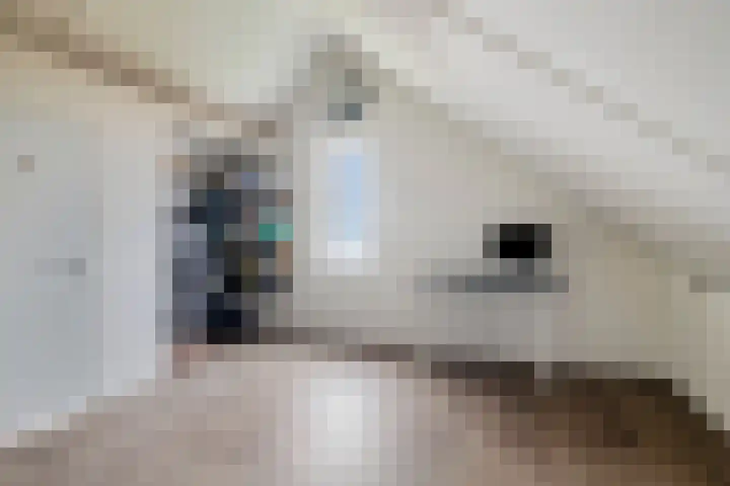Delta 7 Kampen thumbnail 39