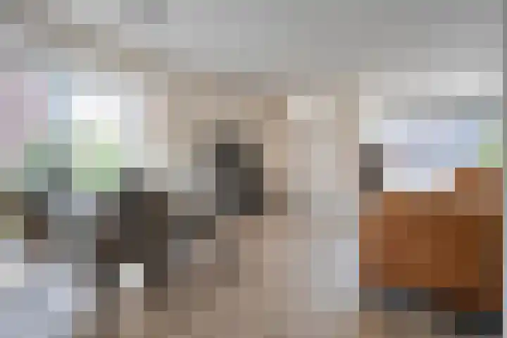 Delta 9 Kampen thumbnail 12