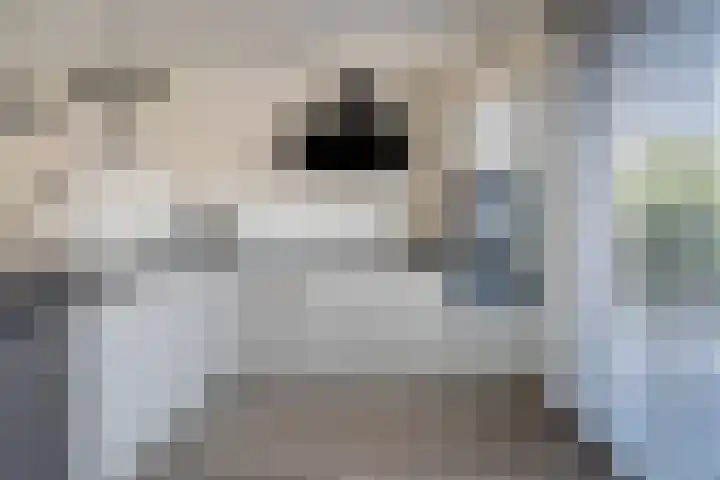 Delta 9 Kampen thumbnail 20