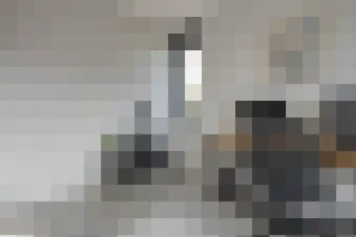 Delta 9 Kampen thumbnail 30