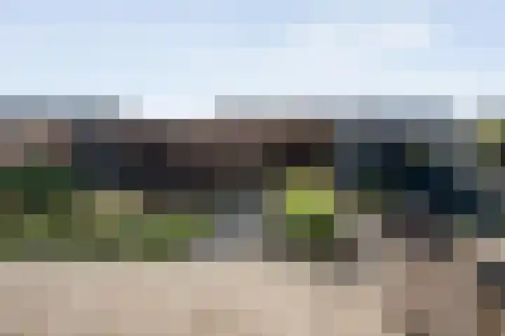 Delta 9 Kampen thumbnail 38