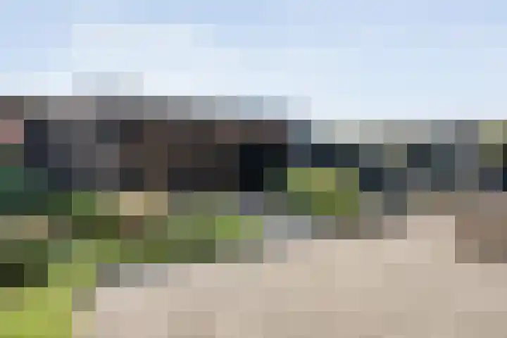 Delta 9 Kampen thumbnail 39