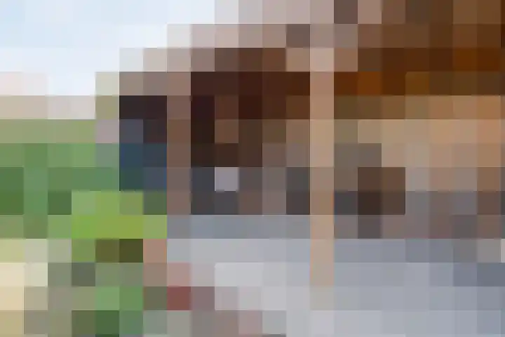 Delta 9 Kampen thumbnail 43