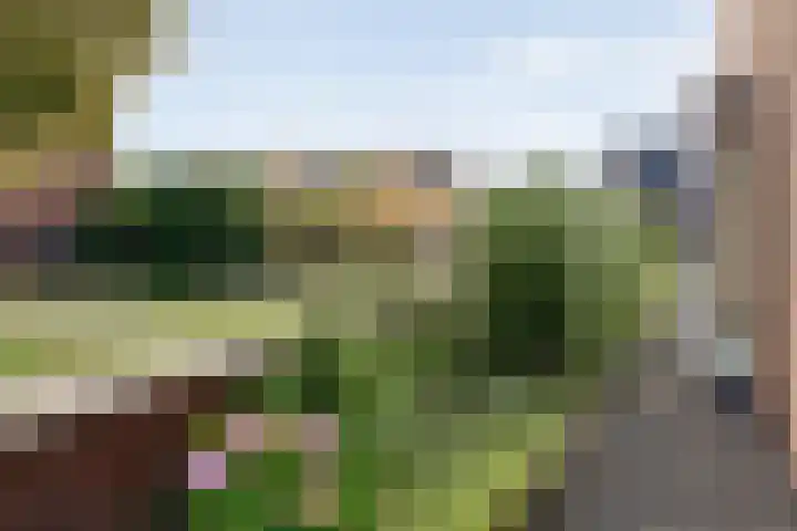 Delta 9 Kampen thumbnail 47
