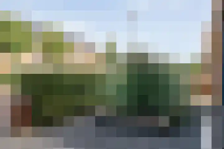 Delta 9 Kampen thumbnail 9