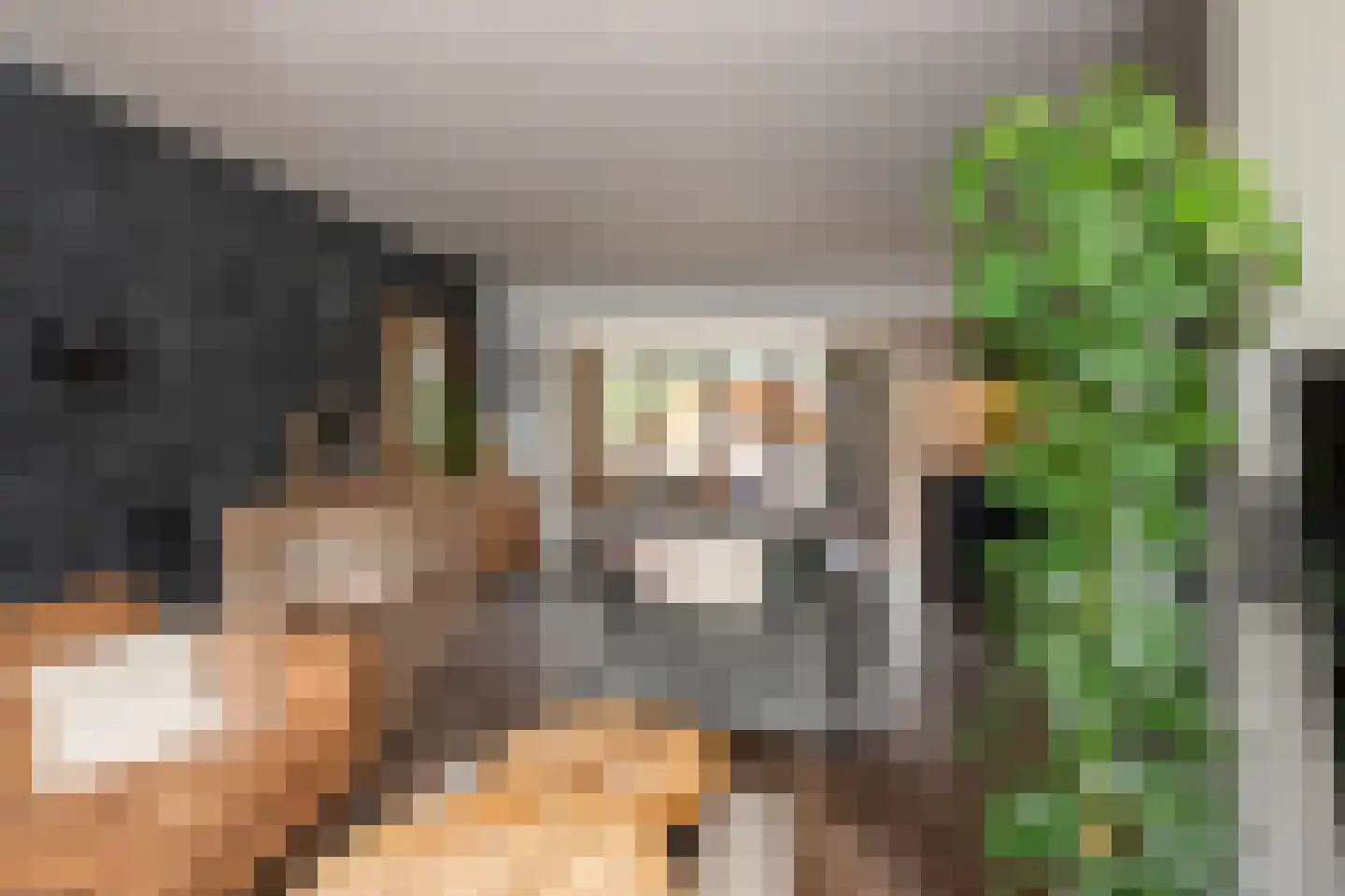 Delta 97 Huizen thumbnail 11