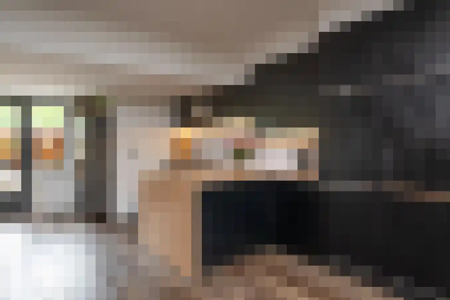 Delta 97 Huizen thumbnail 13