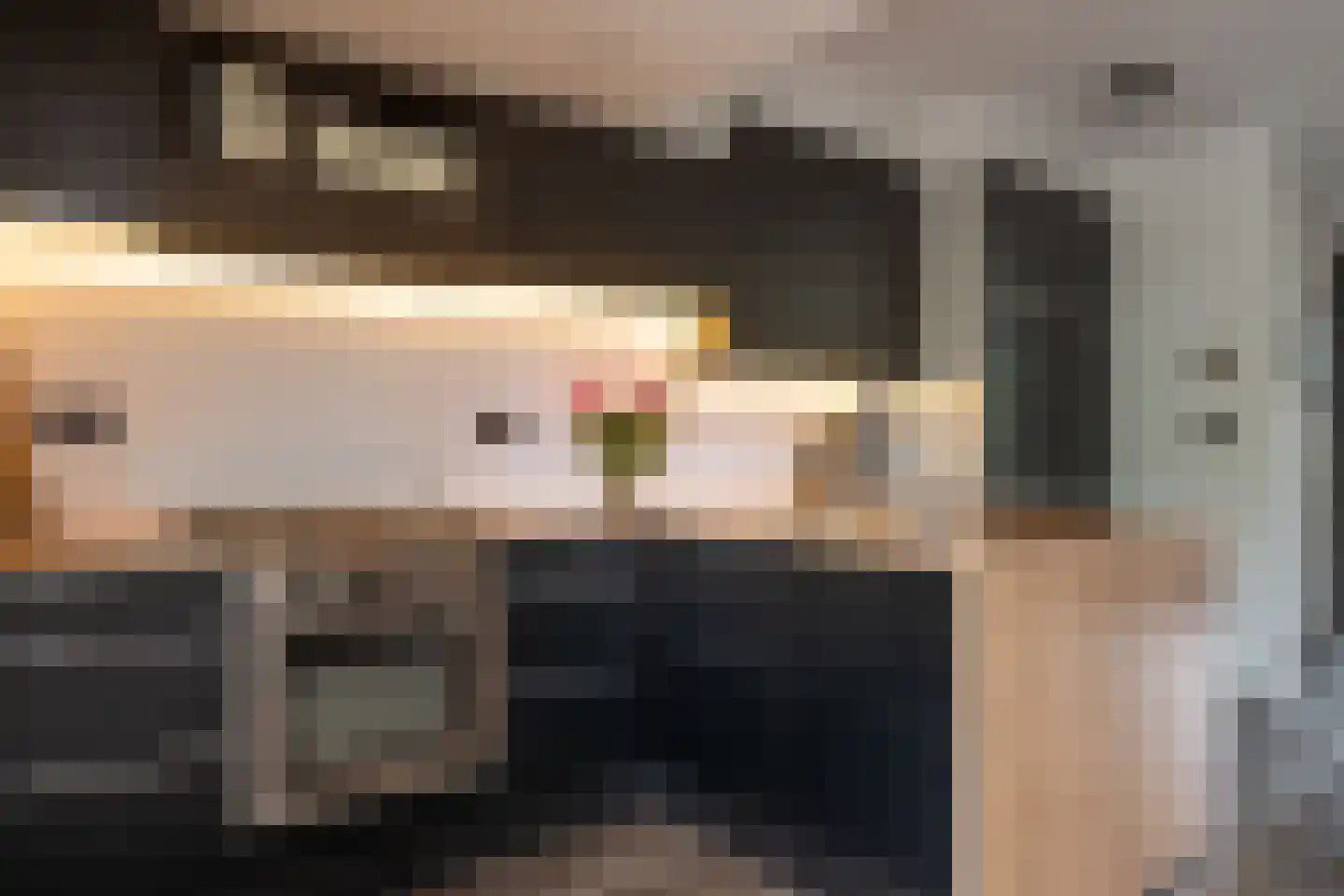 Delta 97 Huizen thumbnail 14