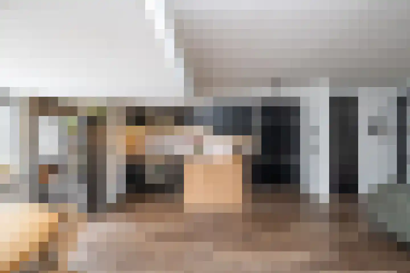Delta 97 Huizen thumbnail 15