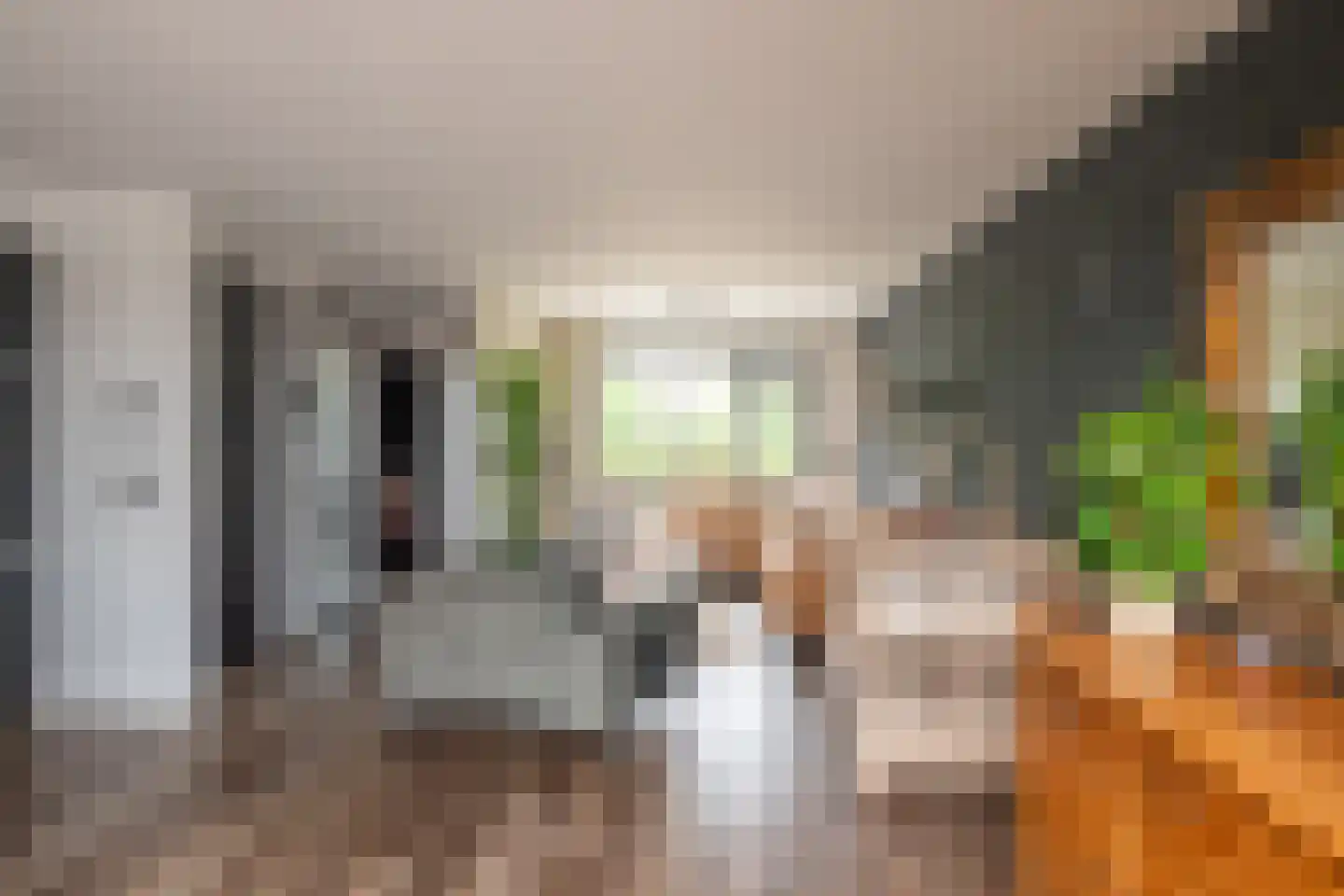 Delta 97 Huizen thumbnail 17