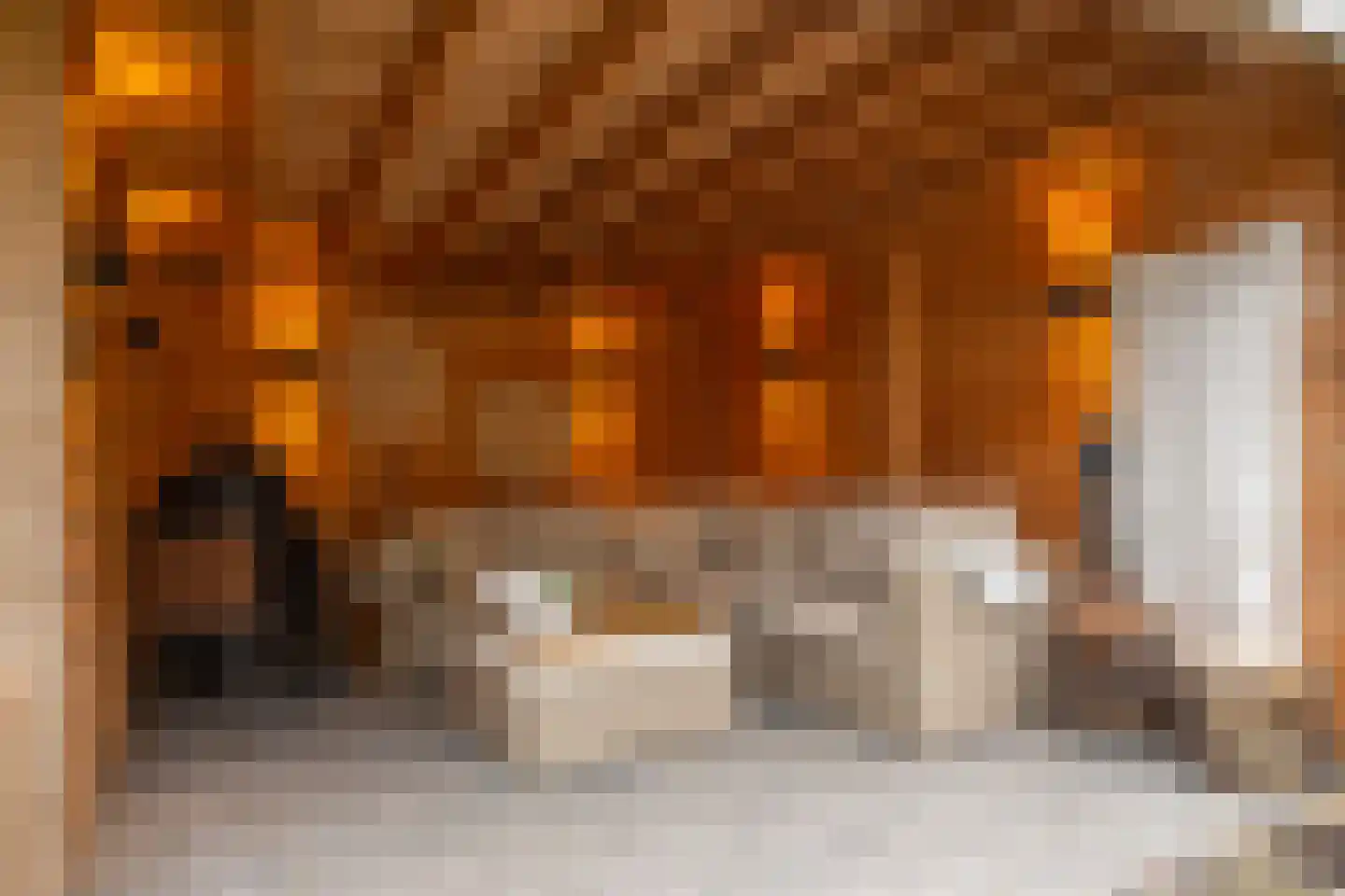Delta 97 Huizen thumbnail 21