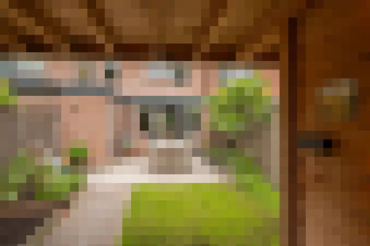 Delta 97 Huizen thumbnail 22