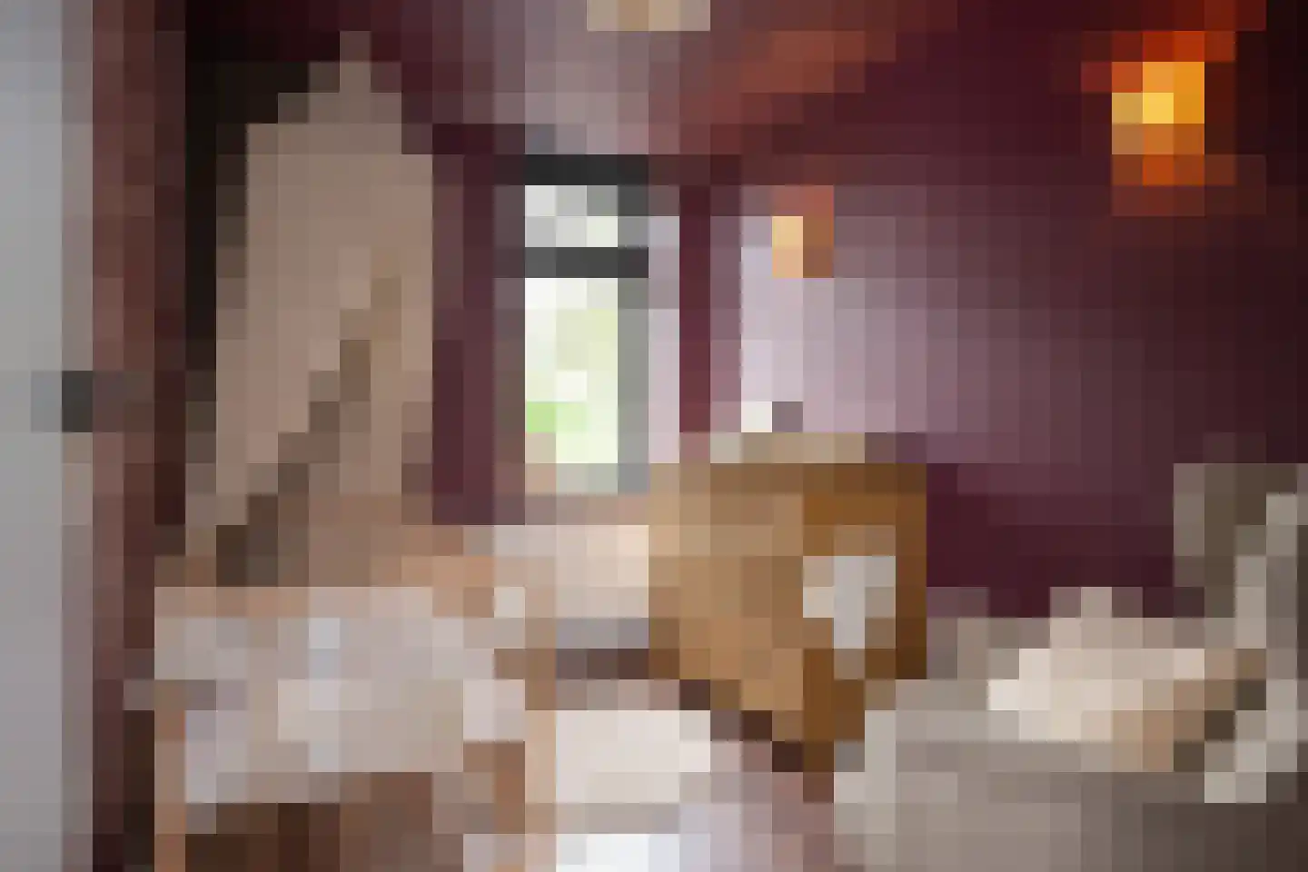 Delta 97 Huizen thumbnail 26