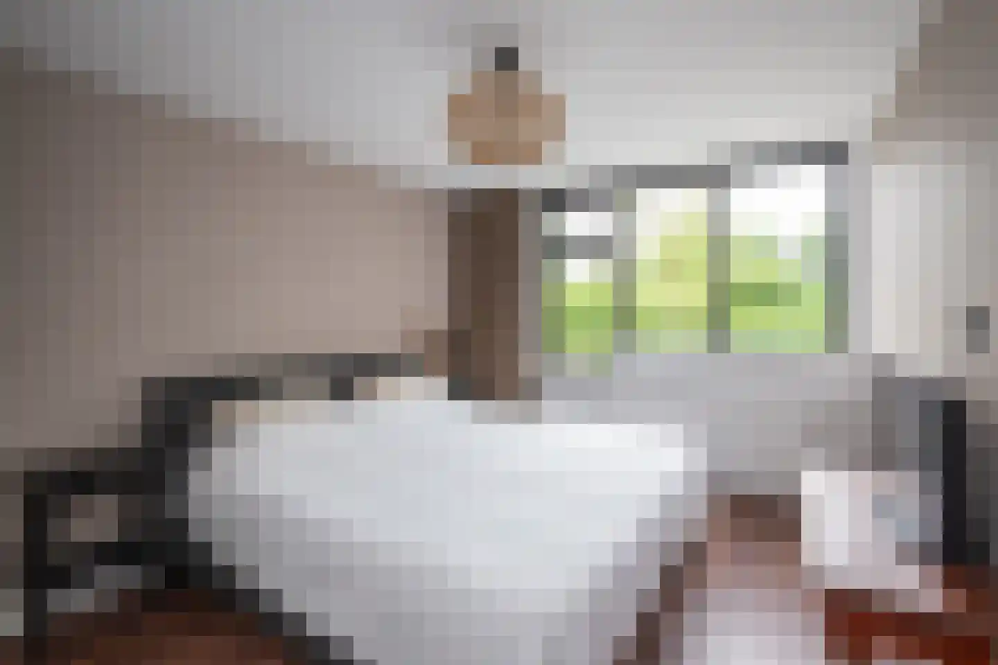 Delta 97 Huizen thumbnail 30