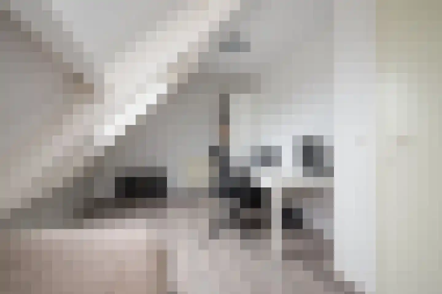 Delta 97 Huizen thumbnail 38