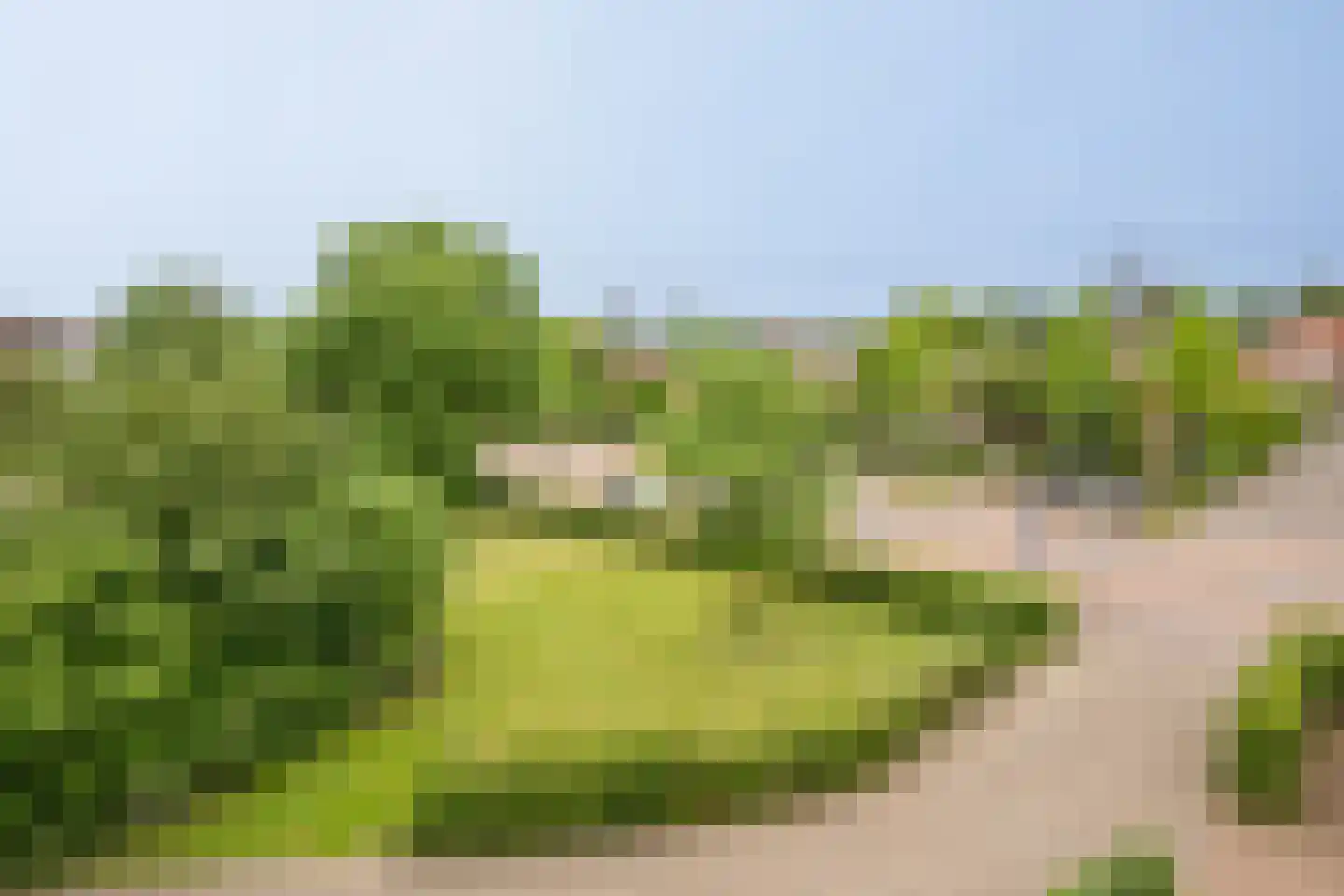 Delta 97 Huizen thumbnail 40
