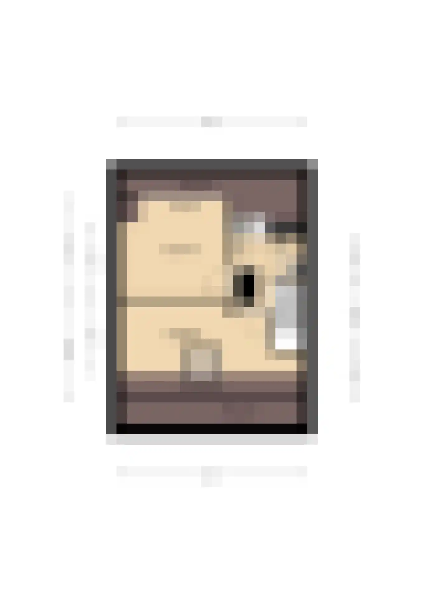 Delta 97 Huizen thumbnail 44