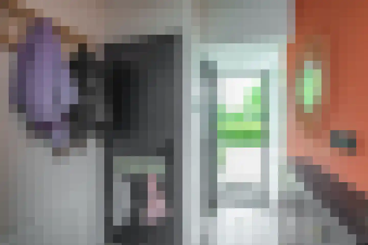 Delta 97 Huizen thumbnail 6