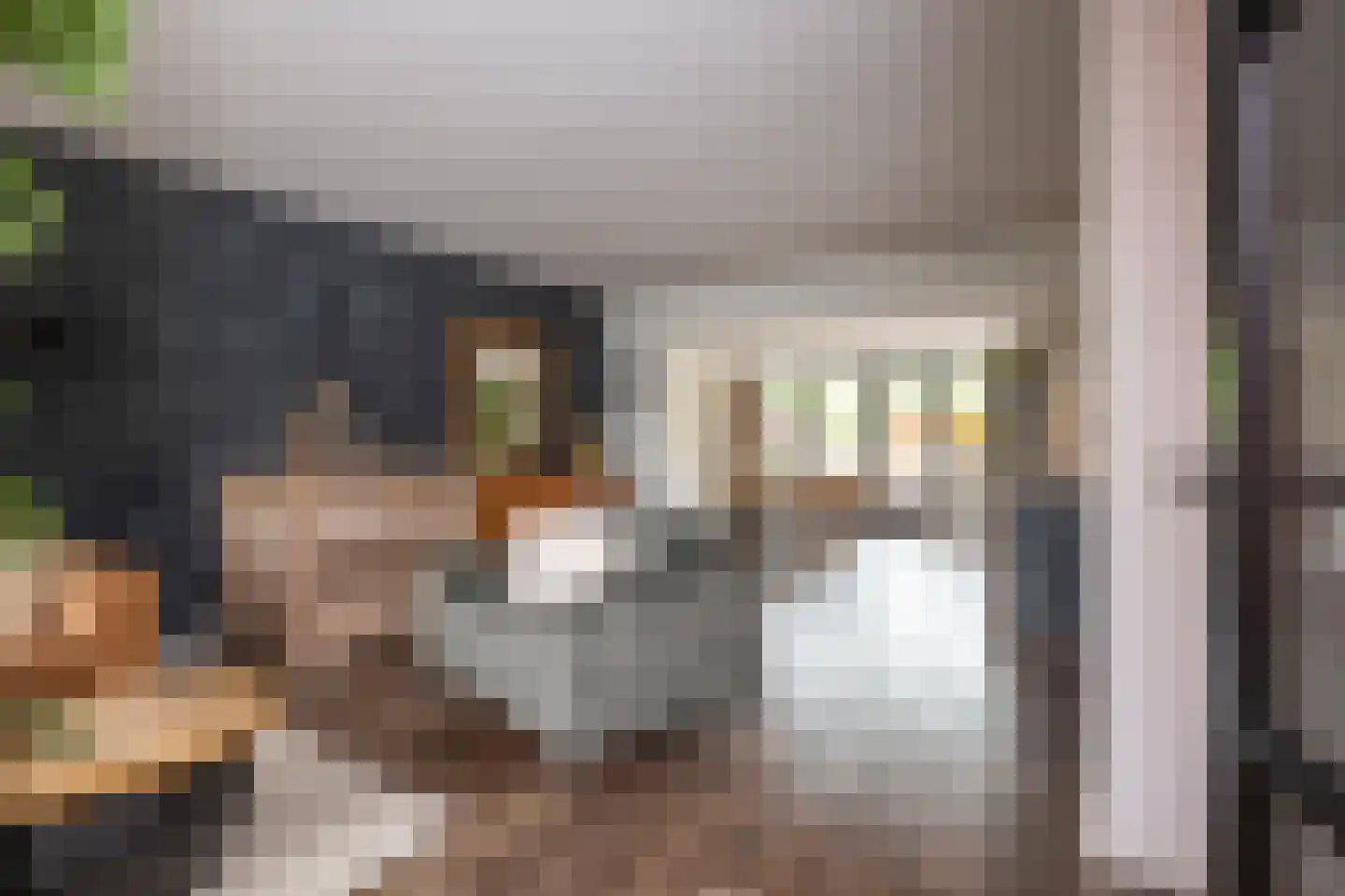 Delta 97 Huizen thumbnail 8